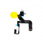 Nappe Flash iPhone 12 Pro