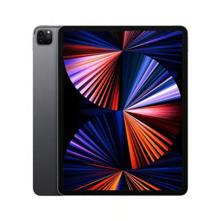 iPad Pro 12.9" (2022 M2 series) 128Go Gris Sidéral